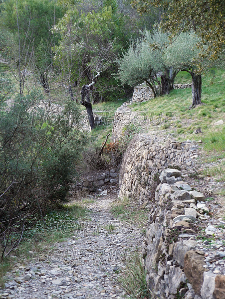 Chemin pédestre pierreux dans les Cévennes - 2022