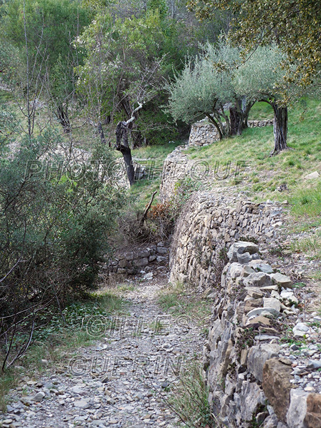 Chemin pdestre pierreux dans les Cvennes - 2022  