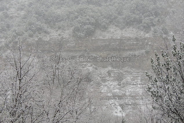 Paysage d'hiver dans les Cvennes