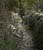 Chemin pierreux dans les Cévennes  - 20