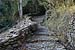 Voix romaine et ancien lavoir dans les Cvennes  - 20b