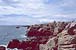 Côte sauvage du Croisic - Bretagne  - 22