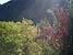 Lumière d'octobre en Cévennes - 36l