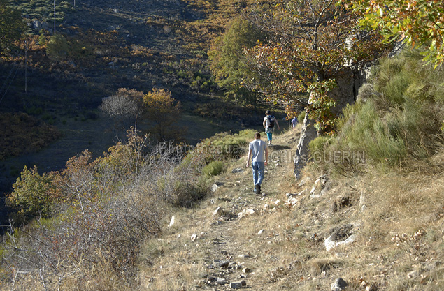 Randonne pdestre dans les Cvennes