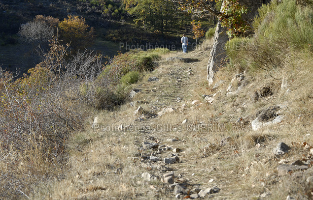 Randonne pdestre dans les Cvennes