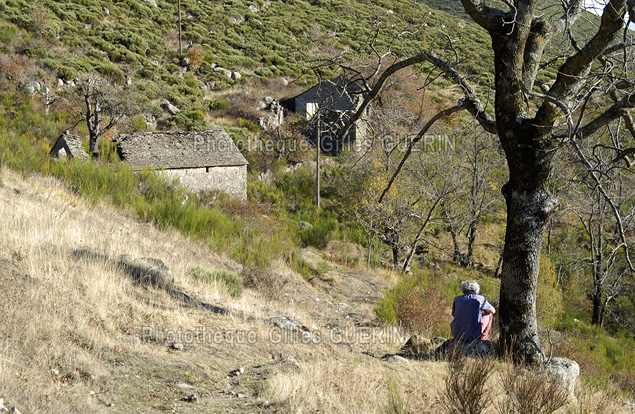 Randonne pdestre dans les Cvennes