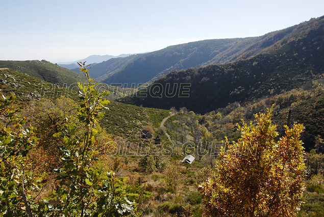 Paysage cvenol - Parc Rgional des Monts d'Ardche - Cvennes