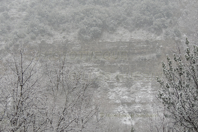 Ambiance hivernale - Chemin avec murette de pierres et silhouettes d'arbres morts - Neige et brouillard - Rgion Centre