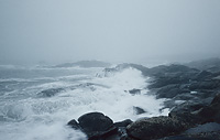 Tempête et brouillard sur la côte sauvage - Bretagne sud 1977